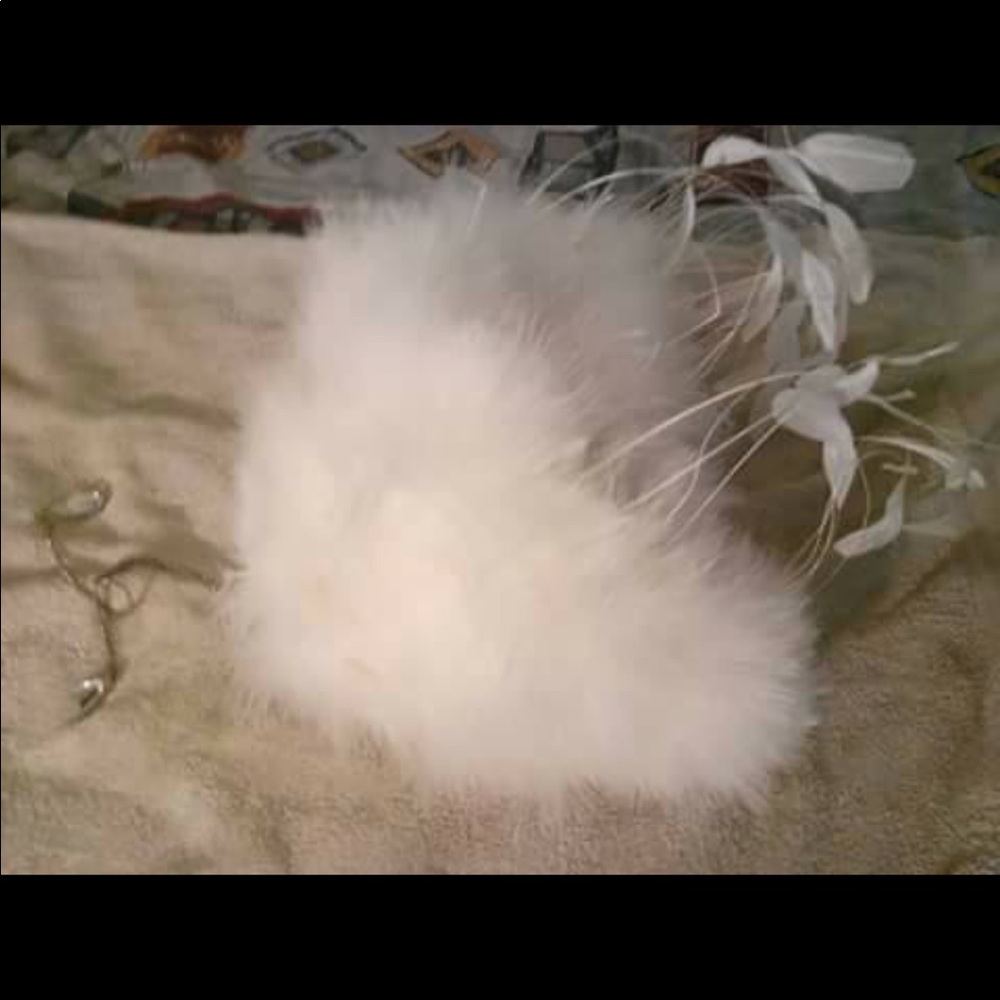 Victoria’s Secret runways wings